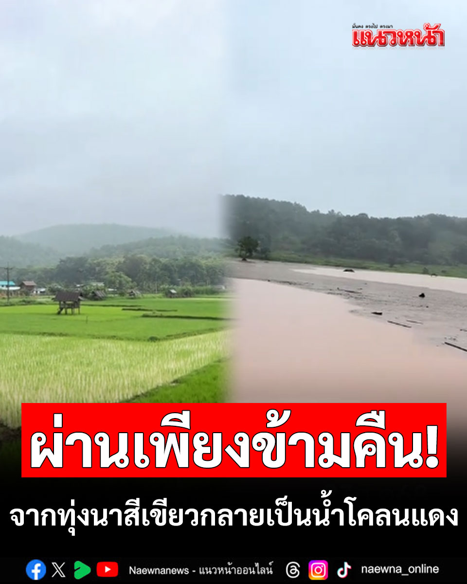 แนวหน้าออนไลน์ tweet media