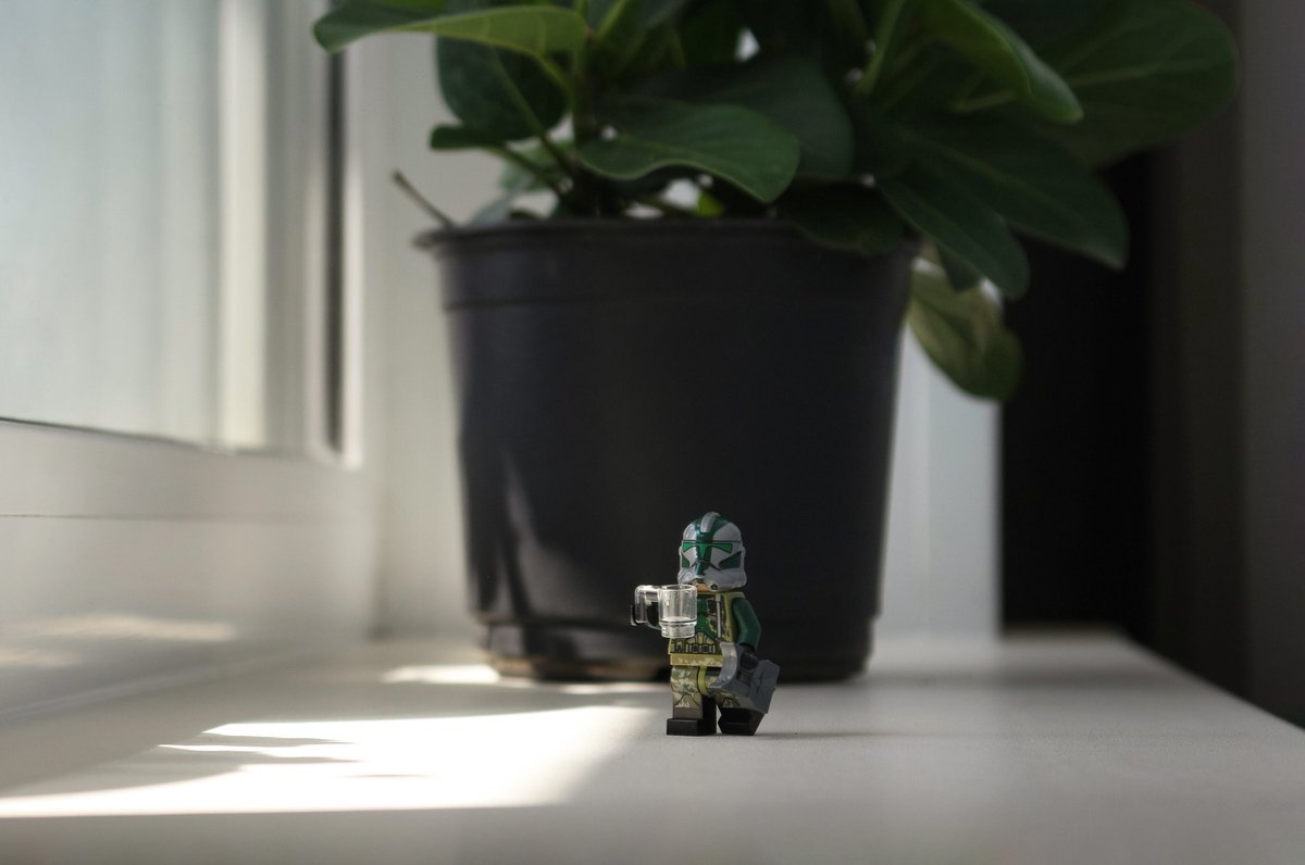 Specter_photos's tweet photo. Green 🌿 https://t.co/NZIgoymutL