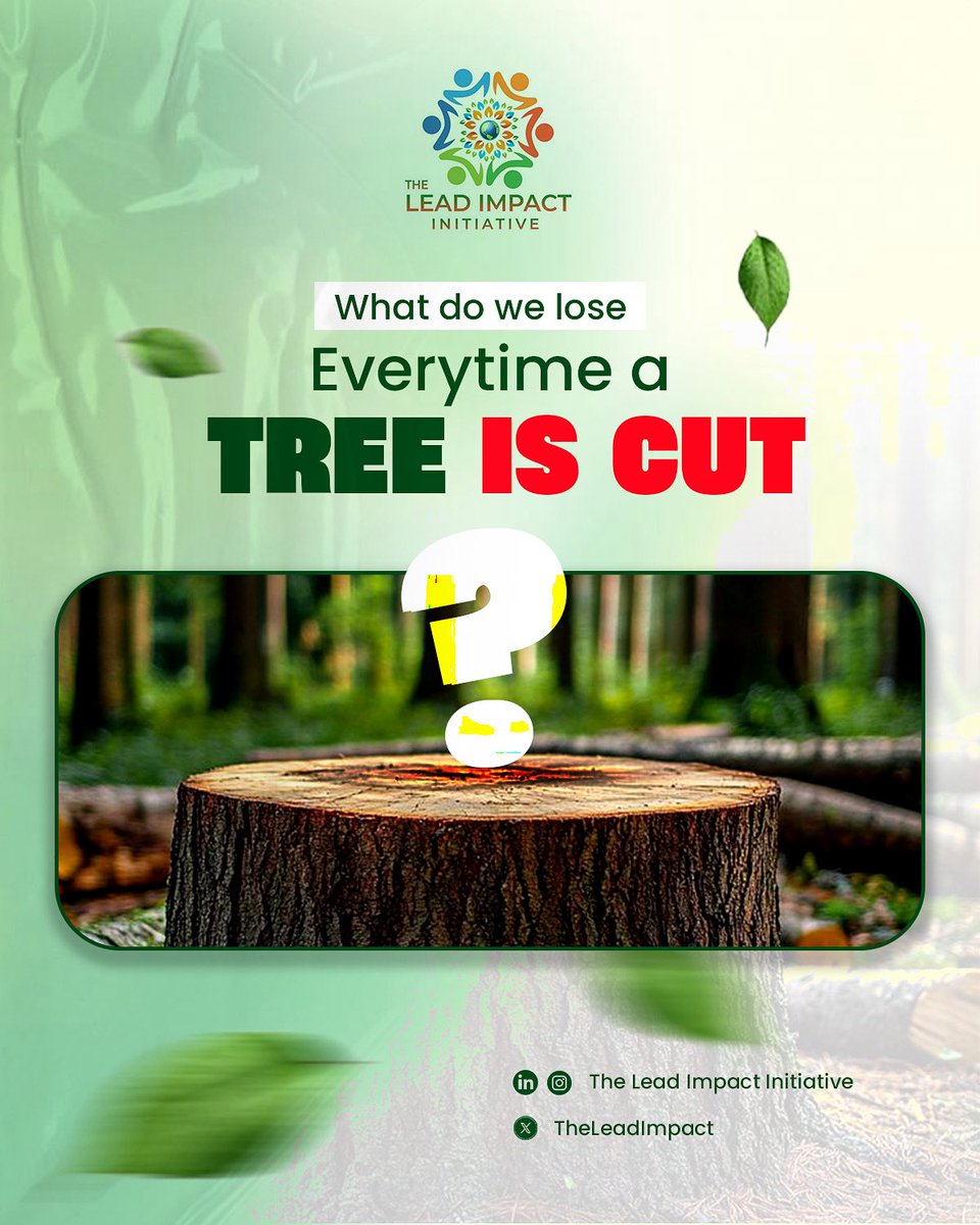 What happens when the last tree falls?
We lose our lungs, our shade, our safety.
As Nigeria is one of the fastest deforesting countries in the world. We need to :
🌱 Plant a tree. Speak up. Fight for green.
#Greennigeria #Deforestationcrisis #mangroverestoration