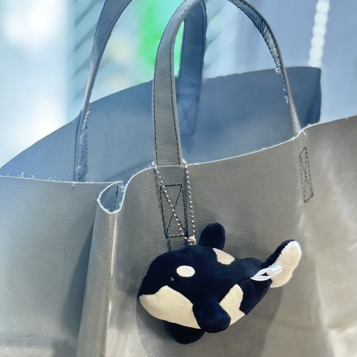 LOFT_GINZA's tweet image. 神戸須磨シーワールドへ
行ってきました🐬
西日本で唯一のシャチのパフォーマンスをはじめ、世界初のシャチ専門の教育ゾーンの「オルカラボ」、瀬戸内海の原風景を再現した「ローカルライフ」の展示など、大人も子どもも楽しみながら学べる水族館です。
動画もあります↓
instagram.com/p/DMcUrJbye7E/…