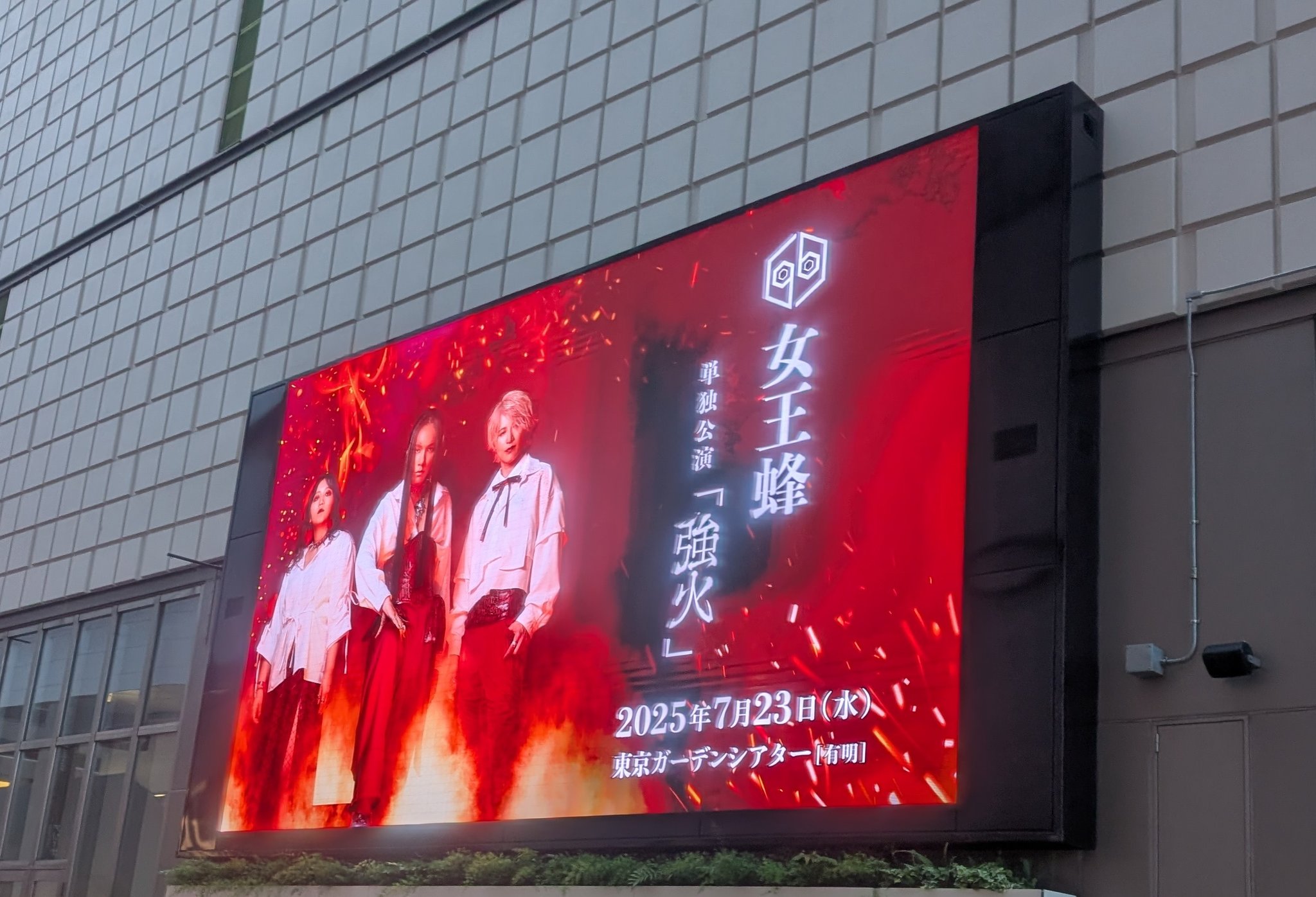 m*y様 女王蜂　ジュリ扇　2012 JOIN ALIVE 女王蜂 ジュリ扇 - メルカリ