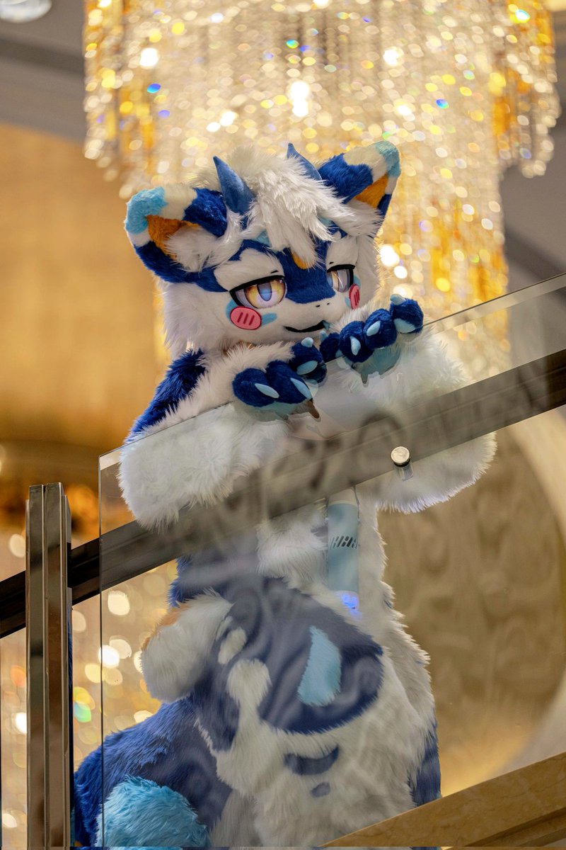 Yobi_torobi's tweet image. 终于把兽界名片整理完了，谢谢大家的各种小无料🥰
如果有返图可以艾特我，awa，非常感谢🐟