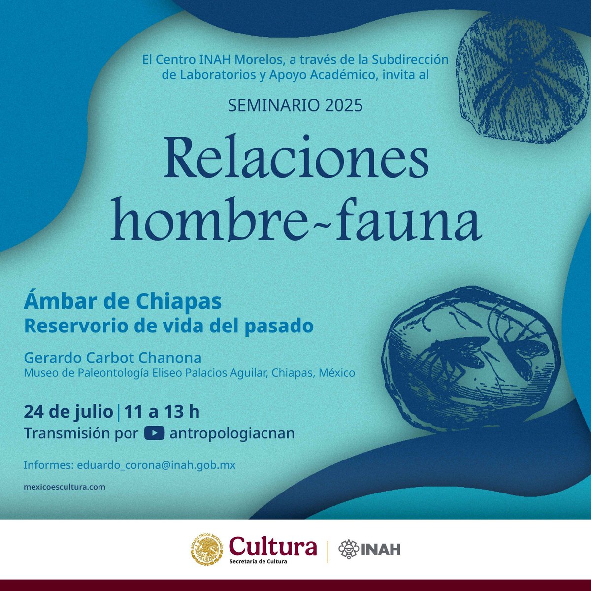SdEB2021's tweet photo. El Seminario Relaciones Hombre Fauna inicia su año 28 de actividad continua y los invita a la apertura de Ciclo 2025, que inicia el próximo jueves 24 de julio a las 11 horas, con la realización de la charla virtual. https://t.co/hHxKkrIti8