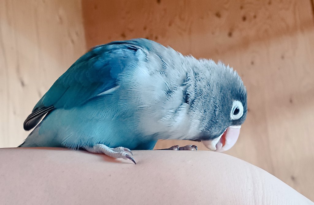 どべべべべべべべべべべべべべべべべべべべべべべべべぇぇえぇぇぇぇぇぇぇぇぇかぁわいいねぇぇえぇぇぇぇぇかぁわいいねぇぇえぇぇぇぇぇ