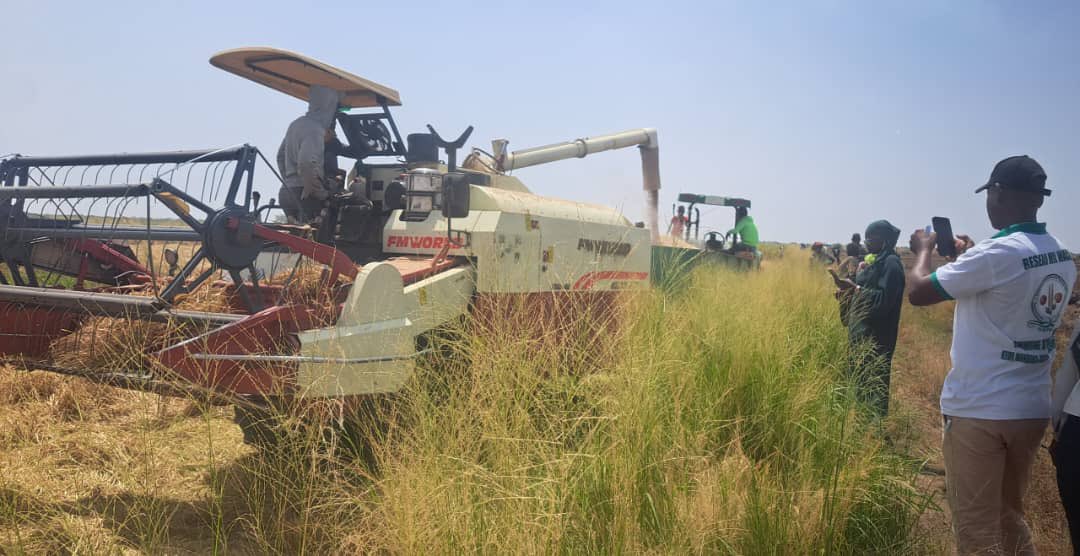 🌾 J2 de la mission d’échange CSA
🚜 Immersion au cœur du delta du fleuve Sénégal !
Les CEMA de Boundoum &amp; Kassack Nord accueillent les porteurs de projets CSA pour des échanges riches et inspirants.
🌱 Apprendre par le terrain, c’est semer le succès !
#AgriSénégal  #CEMA #FNDASP