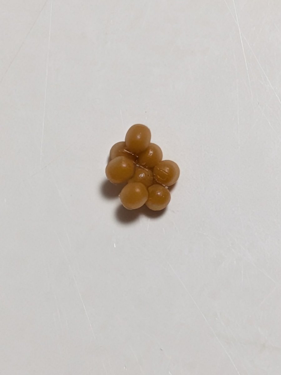 KentaroSato's tweet image. 外を歩いている時、前髪に虫が止まった感触があった。帰ってから触ってみたら、これがくっついてた（実物は直径0.5ミリくらい）。それなりに長いこと生きてきたが、卵を産み付けられたのは初めてだ。