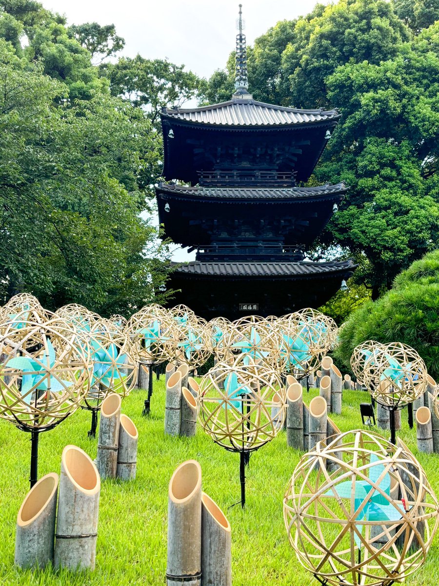 kanda_azarashi's tweet image. 椿山荘も夏だね〜🌱