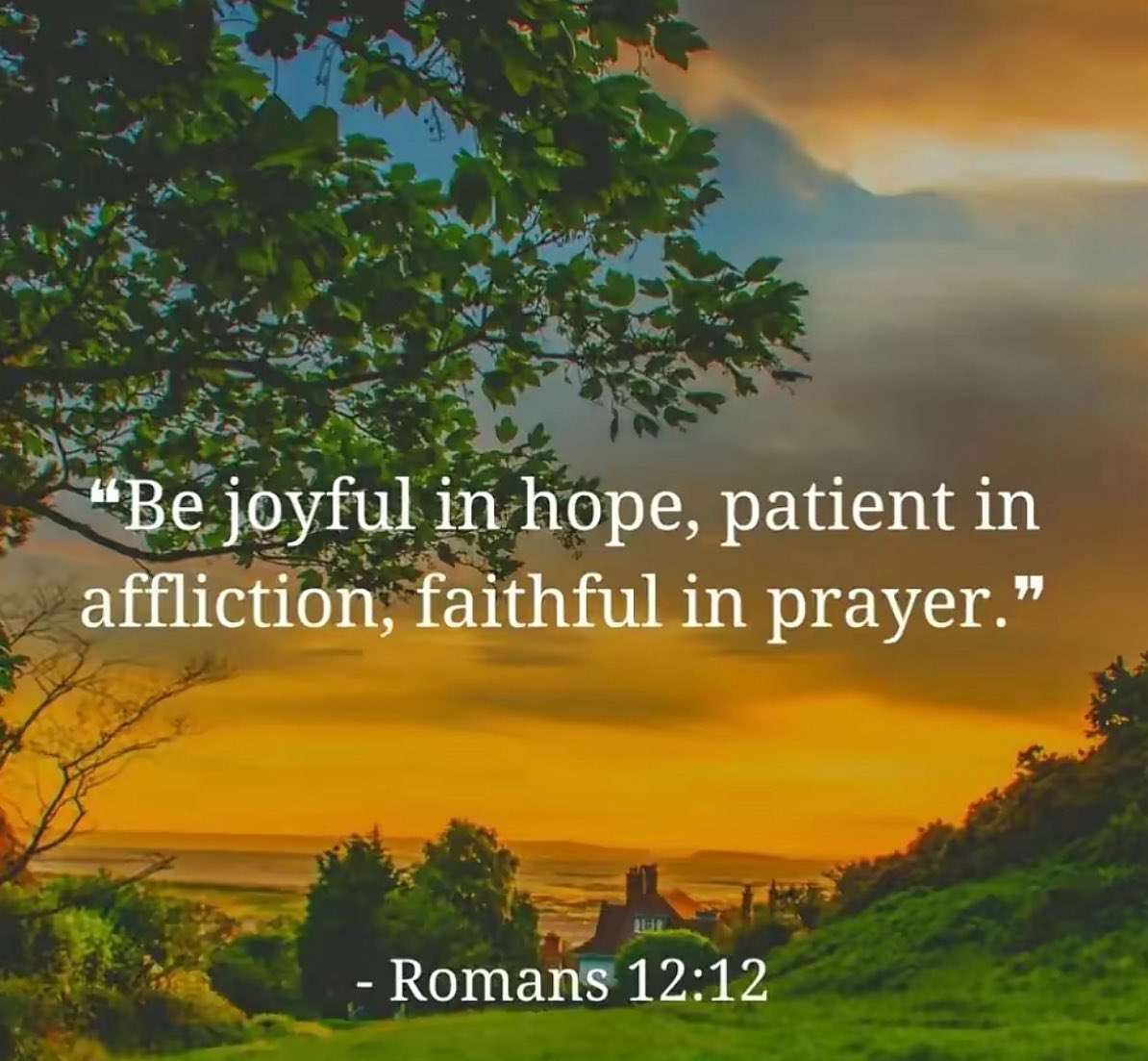 ohnochip's tweet image. Good Morning Family,
Y鈥檃ll have a productive and blessed day in the Lord 馃檹馃徎馃檶馃徎鈽曪笍鉁濓笍
#PrayHard