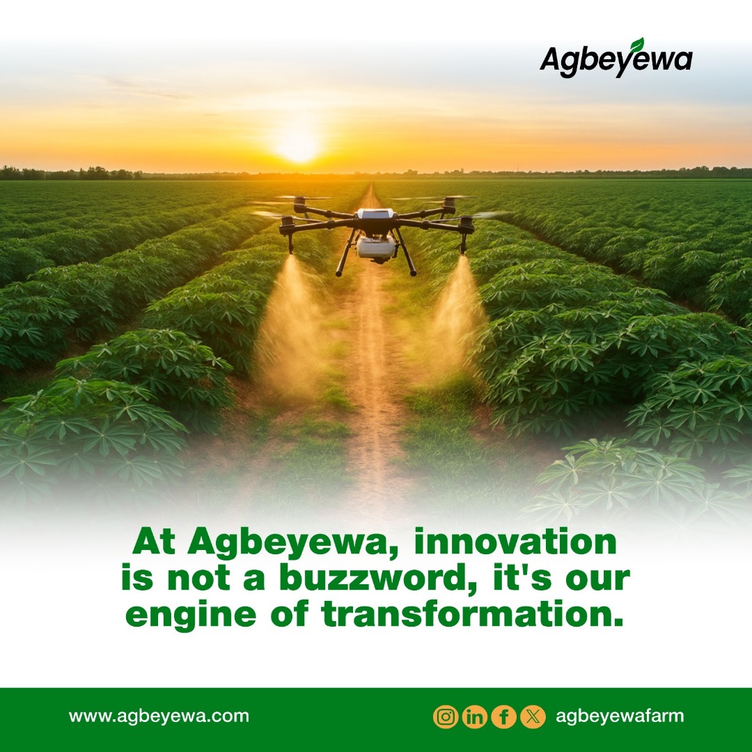 At Agbeyewa, innovation is not a buzzword; it's our engine of transformation. We're committed to revolutionizing farming practices with cutting-edge technology and sustainable solutions.

#Agbeyewa #AgbeyewaFarm #InnovationInAgriculture #SustainableFarming #FarmTransformation