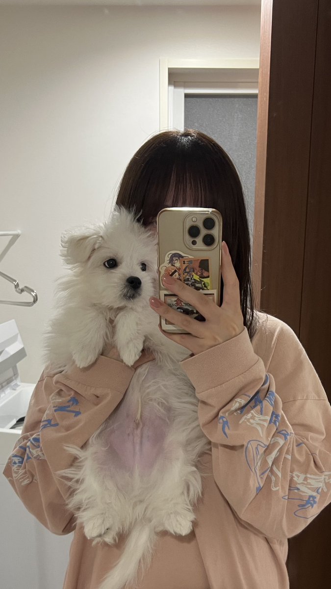 _kinarinari's tweet image. ←2.3kg                   犬の成長                  4.7kg→