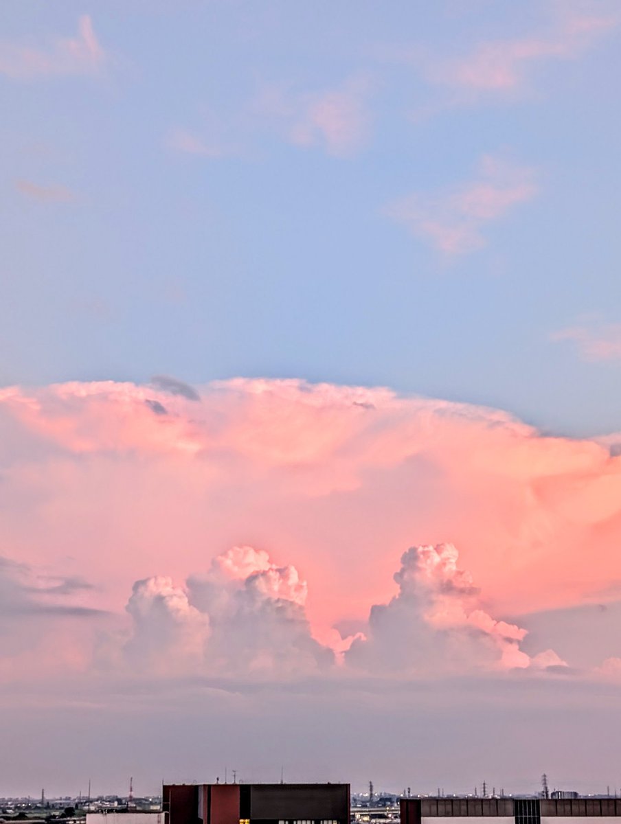 Sora__again's tweet image. 桃色に染まった夏雲𓂂𓂃𓂋
明日も
優しい気持ち
で過ごせますように🪄
#空が好きな人と繋がりたい
#いまそら
#イマソラ 19:08