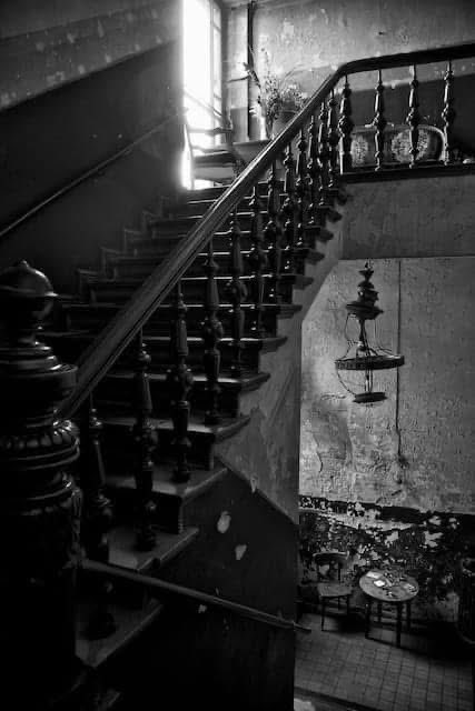 slowberlin's tweet image. “On September 13th 1913, Fritz Bühler opened the dance hall “Bühlers Ballhaus“ (Bühler’s Ballroom) in the back of Auguststrasse 24/25. The venue quickly became a prime address for a mix of the Berlin’s ‘haut monde’ and blue-collar labourers, all in quest of a relaxed ‘Schwoof’…
