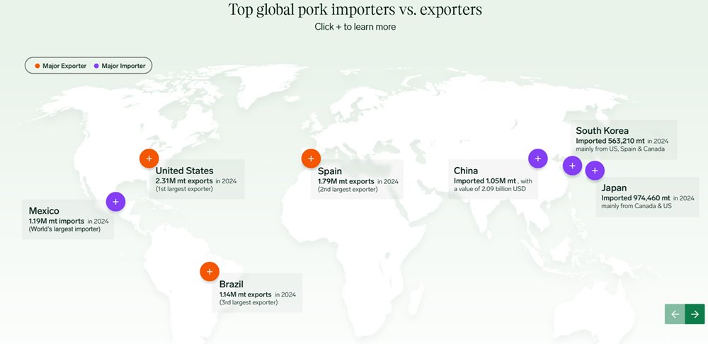 Swinewebcom's tweet image. 🇺🇸 U.S. Pork Feels the Pinch as EU Captures Export Gains: swineweb.com/latest-swine-n…