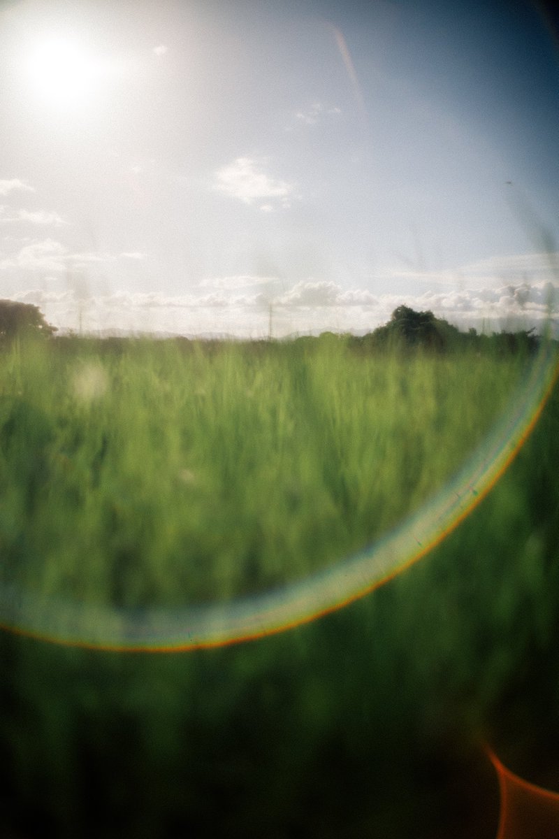 smith_oldlens's tweet image. 夏空さんぽ。