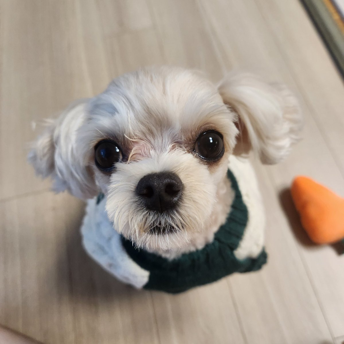 logout0925's tweet image. 새 옷 장만함