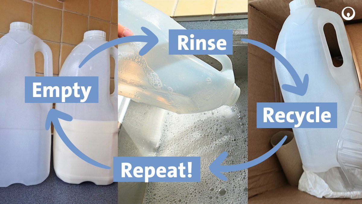 Keep your recycling bin free from contamination with our four simple steps:

🍶Empty 
💦Rinse
♻️Recycle
🔁Repeat

A final top tip: squash and compact items to maximise space!

Make sure to share your recycling tips below!