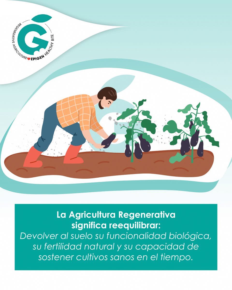 ✔️ La #agriculturaregenerativa 🌱 significa reequilibrar: 

👉 Devolver al #suelo su funcionalidad biológica, su fertilidad natural y su capacidad de sostener cultivos sanos en el tiempo.

#reestructuracióndesuelo