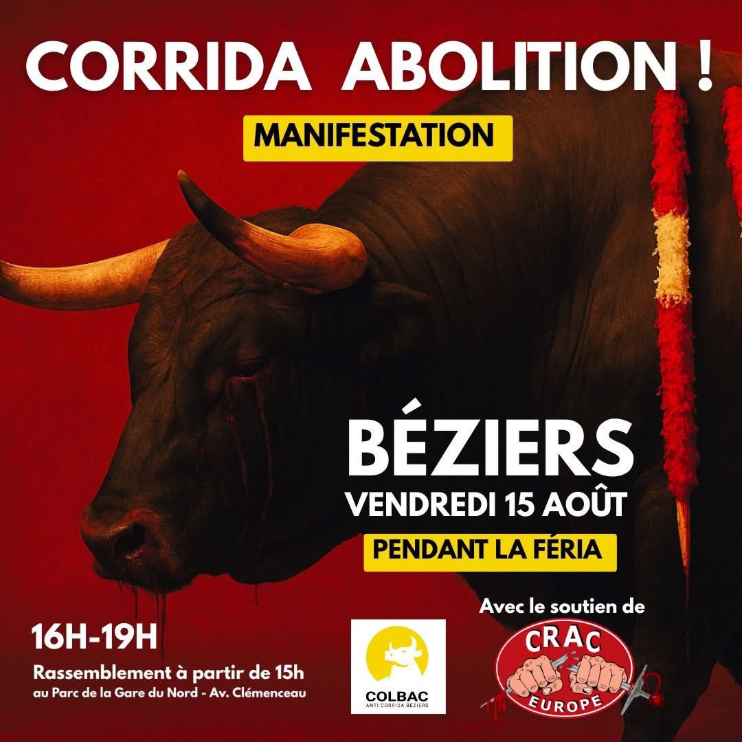 ==&gt; RDV le vendredi 15 août à Béziers !🐂 Durant la feria de Béziers, des dizaines de taureaux sont torturés jusqu'à la mort dans les arènes lors des corridas et des novilladas.
<a href="/CRAC_Europe/">CRAC Europe</a>