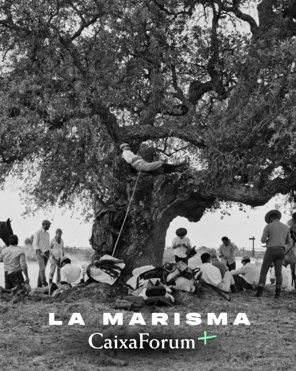 LaClaquetaPC's tweet photo. #LAMARISMA YA DISPONIBLE EN #CAIXAFORUMPLUS.
Un documental dirigido por Manu Trillo, un canto a la resistencia de la comunidad de la marisma de Doñana aferrada a su identidad en un mundo en constante cambio. https://t.co/gmAeNI4YB1