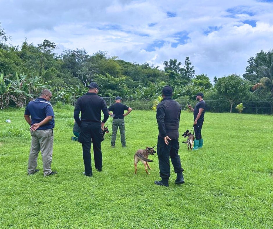 UNODC_Firearms's tweet image. Last week, our team trained police dog units at airports and harbours in Trinidad and Tobago to detect #IllicitFirearms.
"This isn't just training – it's a turning point in our country's security," said Videsh Maharaj, Permanent Secretary at the Ministry of National Security.