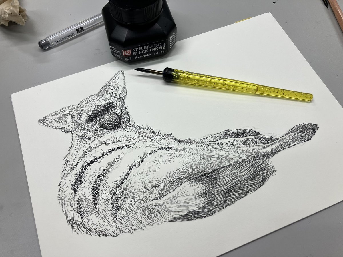 原画】『大陸間移動装置』（絵画 動物 チワワ 黒猫 植物 龍 苔 蛇