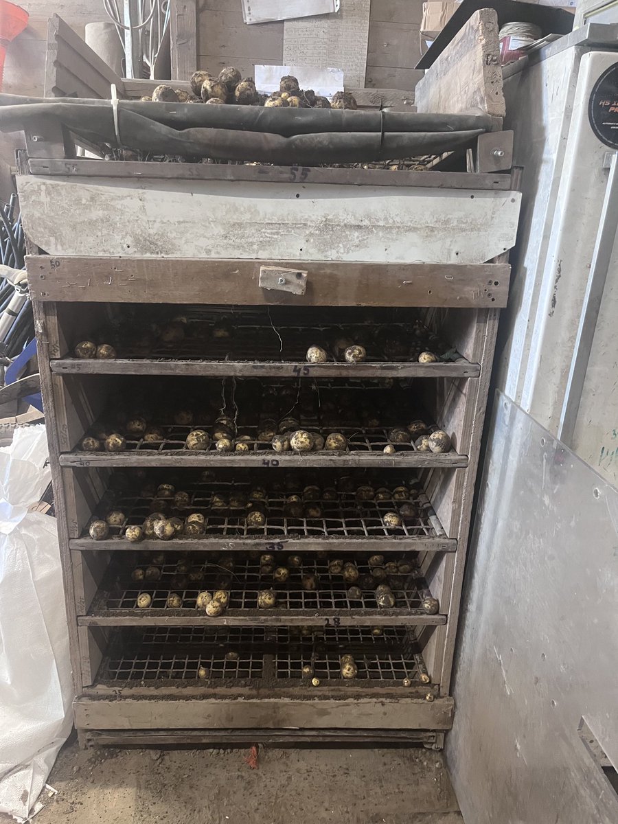 Corné Schouten tweet media