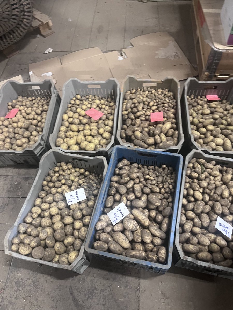 Corné Schouten tweet media