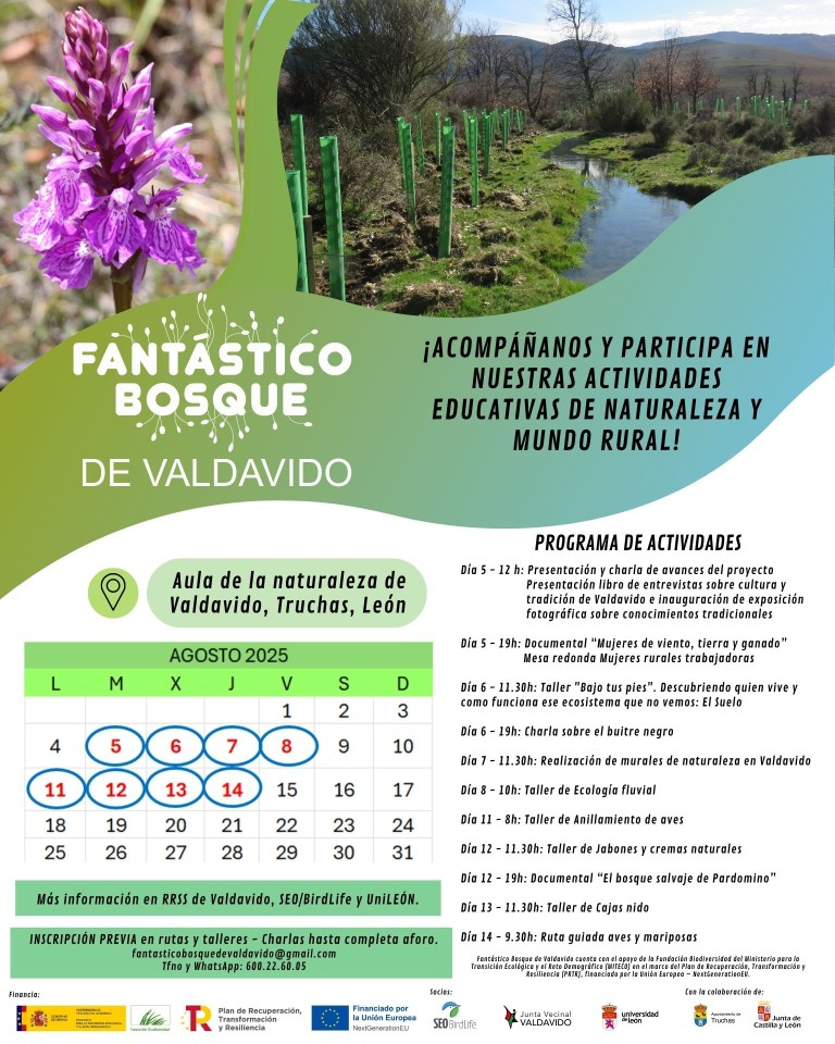 RevistaQuercus's tweet image. Con el nombre de "Fantástico bosque de Valdavido", entre el 5 y el 14 de agosto tendrá lugar un variado programa de actividades educativas de naturaleza y mundo rural, en el que participa @SEO_BirdLife, en Valdavido (#León) seo.org/nuevas-activid…