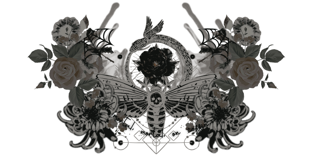 𝐘𝐓𝐓𝐄𝐑. tweet media