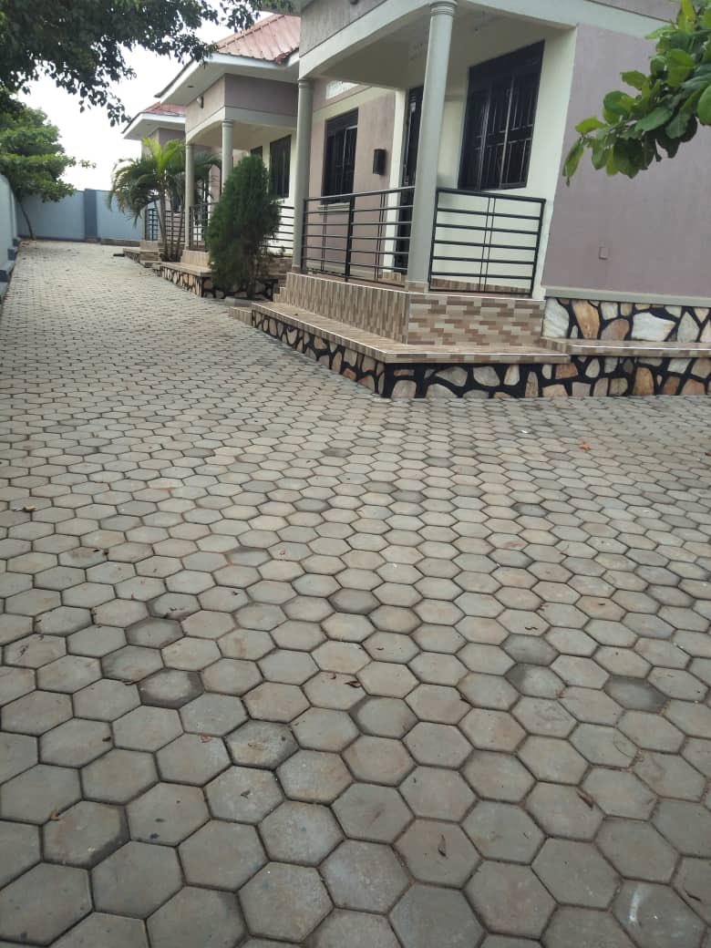 Trissy001's tweet image. Hey twitter!!!!
Property on sale.
Location :bukelele
Plot size :60ft ×100ft
Units :3 each 2 bedroomed |1 bathroom
Monthly income 1.5million
Purchase price is 240m but negotiable
Private mailo land title available.
Serious buyers, please dm for more details.