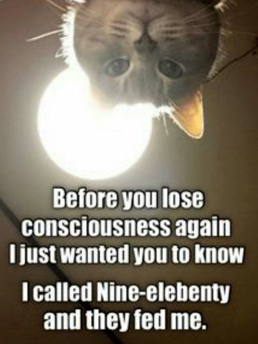 It's time for Pinky and Olly's corny jokes Wednesday BOGOF.

A big thank you to our friend Mimi for sending this one to us.
Pinky and Olly will be back tomorrow. 

#RIPJanet 💜💜💜
#PinkyAndOlly 

❤️❤️❤️🌽🌽🌽❤️❤️❤️
