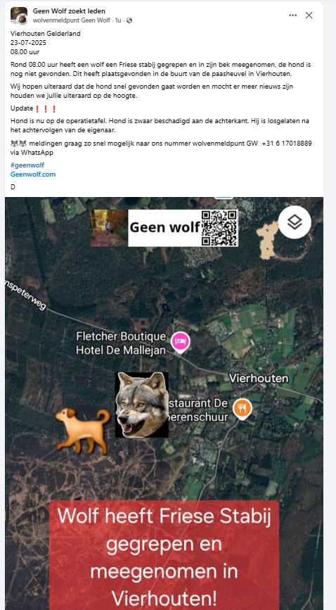 MarjoVrij's tweet image. Zo erg, de wolf hoort hier niet! Ook niet goed voor de wolven zelf, zij hebben ons land niet zelf opgezocht, moeten er ook onder lijden.😢