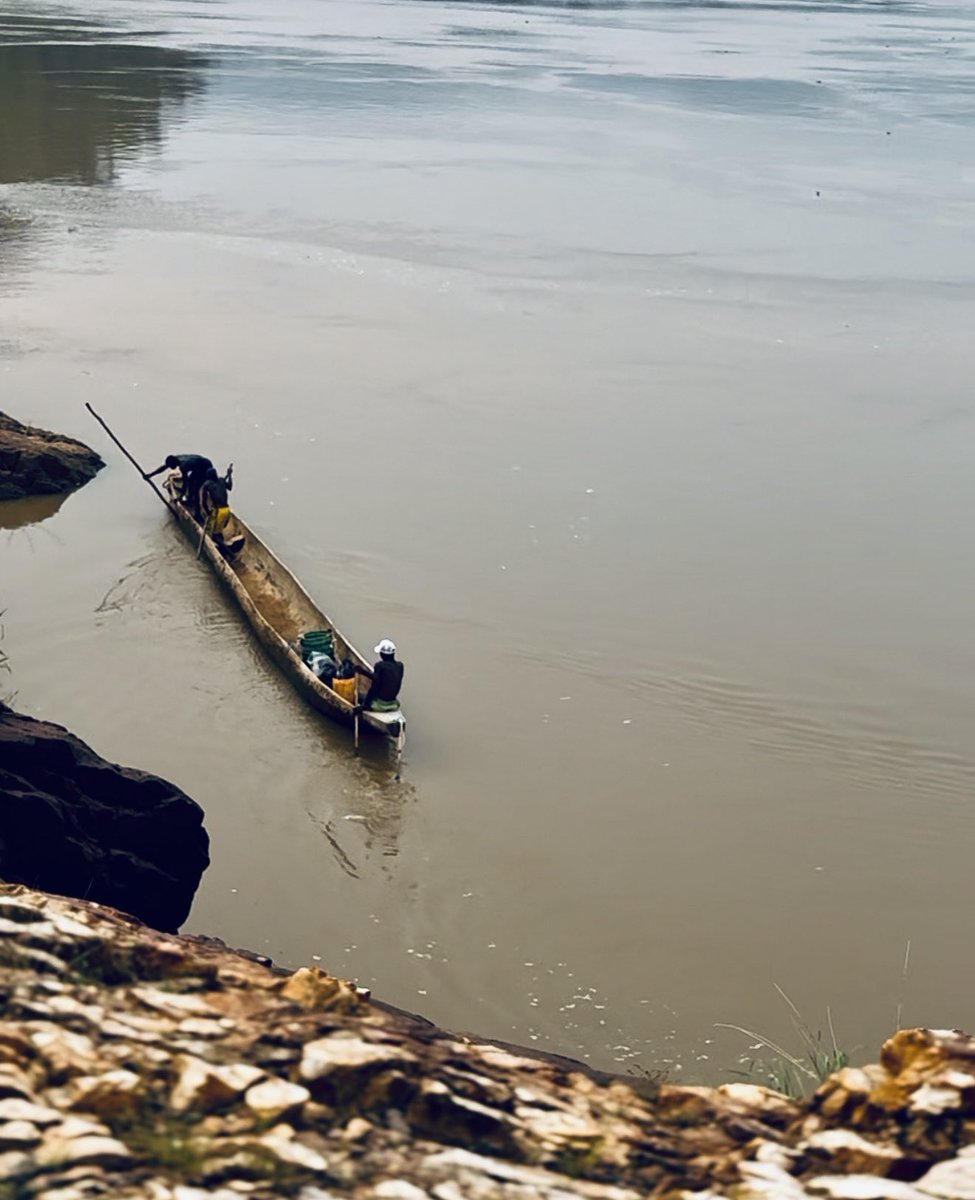 Myriam Ali tweet media