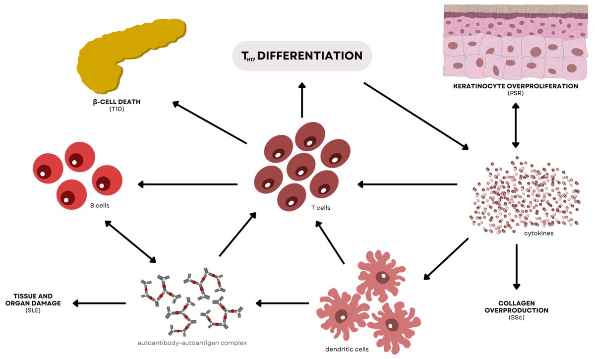 MDPM_2026's tweet image. 🧬Theoretical Studies of #DNA #Microarrays unlock the molecular & cellular interconnectivity vital for next-gen diagnostics & targeted therapies.
🎤Share your work at #MDPM 2026 – Advances in #Molecular Diagnostics & #PrecisionMedicine
🌐advancedmoleculardx.com
#Sciinov
