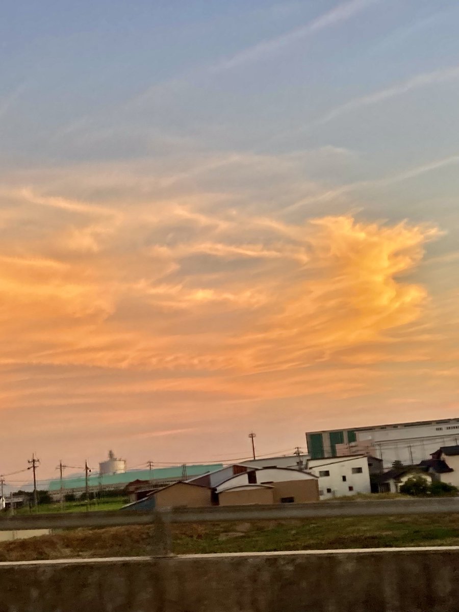tamon_farm's tweet image. 金龍🐉✨✨✨