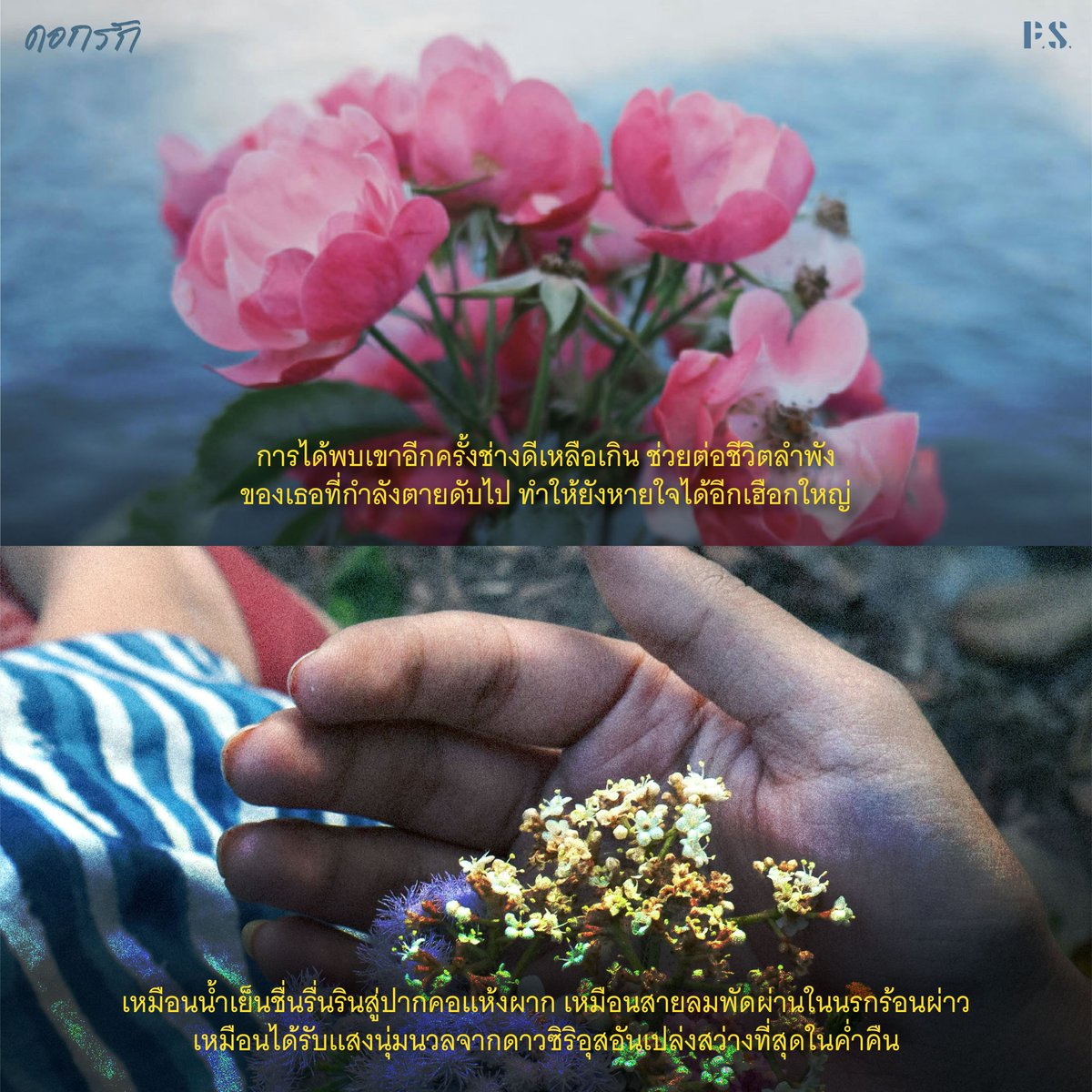 P.S.Publishing tweet media