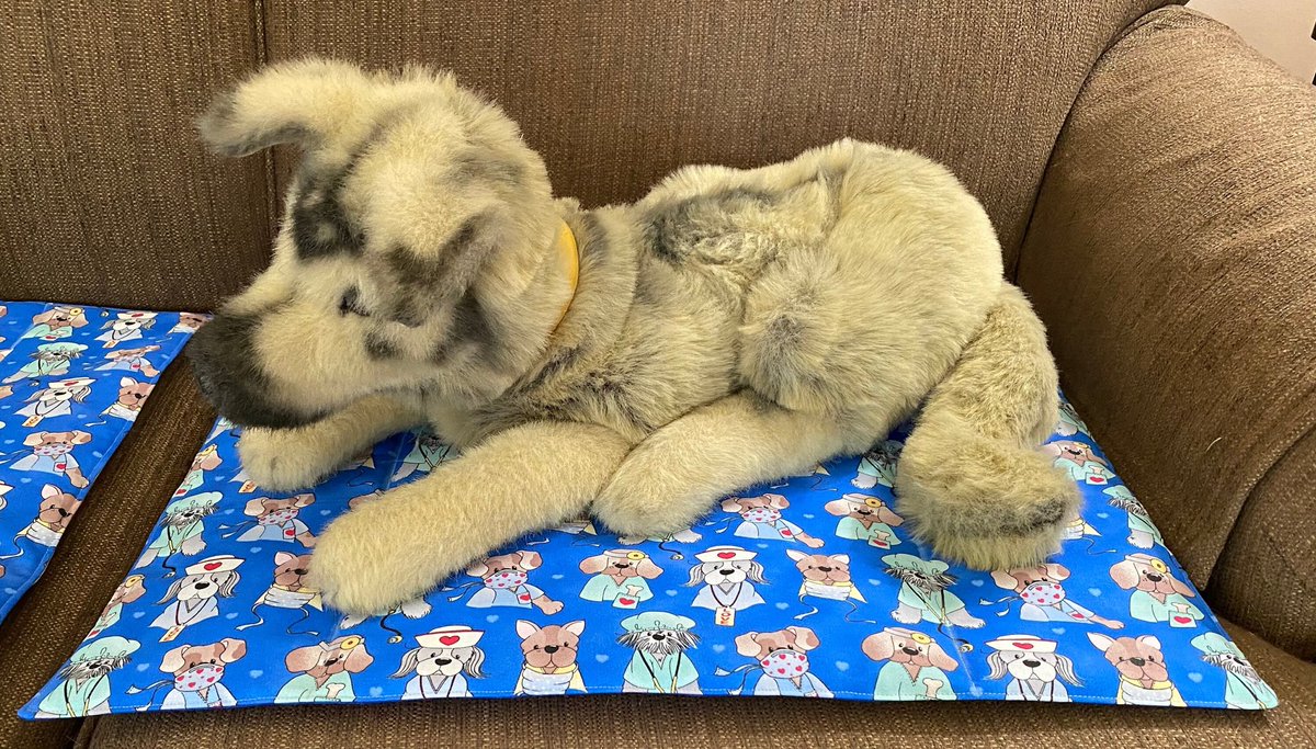 CatReal's tweet image. Cozy dog blanket. Medical field theme. foreverhomequilts.etsy.com/listing/150825… #etsy #medical #pets #dogs #animals #blanket #quilt #gift #doctor #nurse #veterinarian #dentist #cute