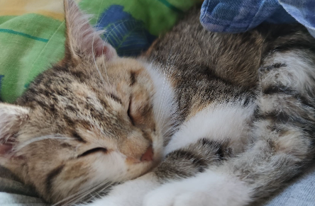 Pustelnik5's tweet image. Mam dzisiaj zajebi*cie mocno zaplanowany dzień, nigdzie nie idę, nic nie podam, nic nie słucham, nic nie robię, i nawet nie wstaję. A ojciec, z tym swoim zaraz, nie teraz, potem, to się może tylko ode mnie uczyć, leszcz jeden.
