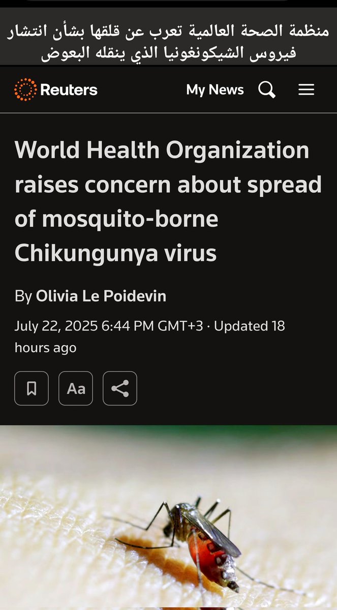 AhmedMayadeen's tweet image. 🚨 #URGENT_WHO_WARNING 
🚨⚕️🦟🦠 
🚨 #تحذير_عاجل_منظمة_الصحة_العالمية

🚨⚕️ منظمة الصحة العالمية تطلق تحذيراً بشأن الانتشار السريع لفيروس &quot;شيكونغونيا&quot; المؤلم، المنقول عبر البعوض 🦟.
تتزايد حالات تفشي المرض المرتبطة بمنطقة المحيط الهندي، وقد وصلت الآن إلى أوروبا وقارات أخرى.

👇🏼