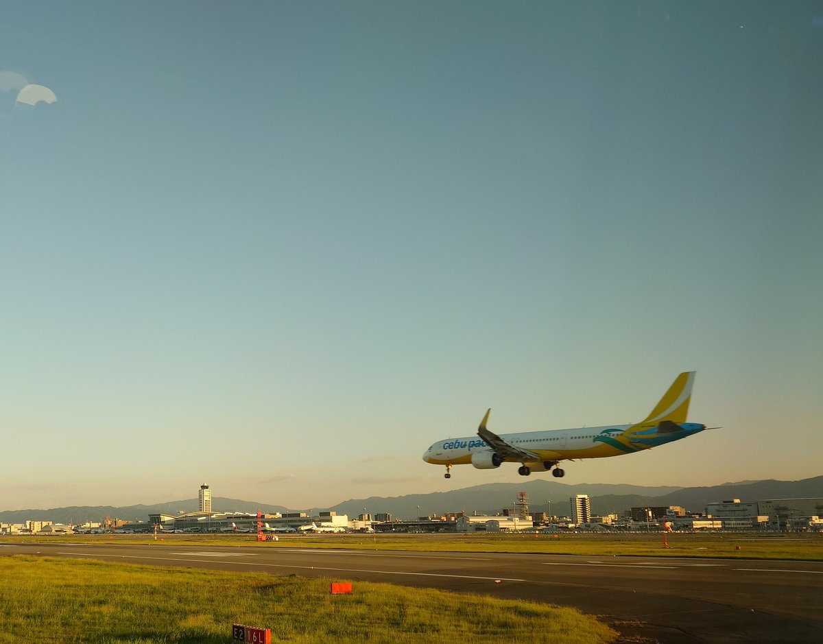 今日も快晴の一日☀

夕日をバックに機窓から着陸機を眺め、離陸を待つ🛩️

#イマソラ