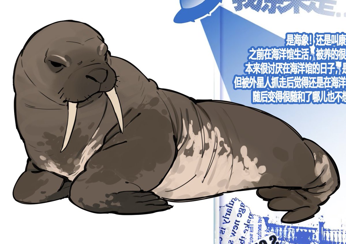 ohnorano's tweet image. 企