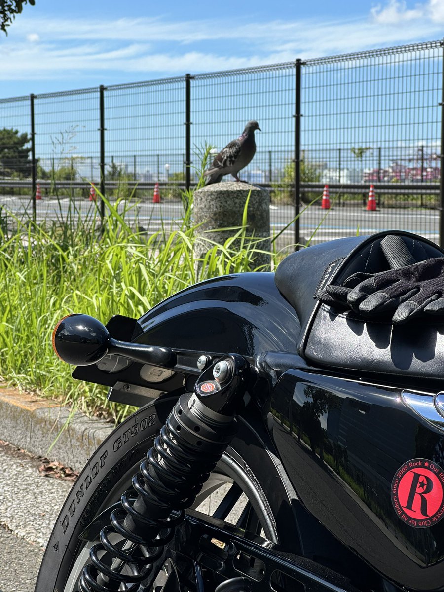 お疲れ様です😃

久々に会社の近くの中華屋のカツカレーが食べたくなった…

週末に🏍️の作業するから食べに行こう🍛