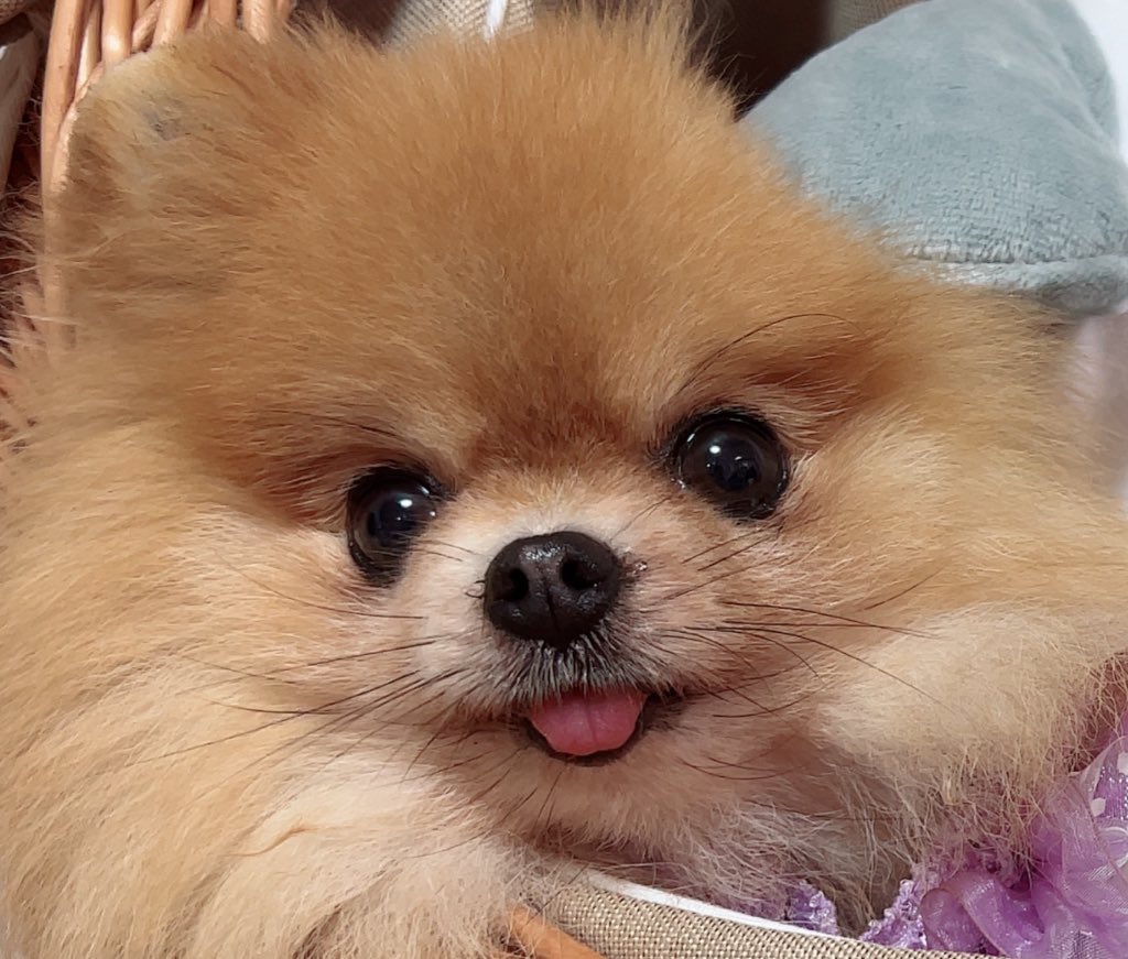 #これでフォロワーさんが増えました
6歳ばぶおばのつよつよ顔面