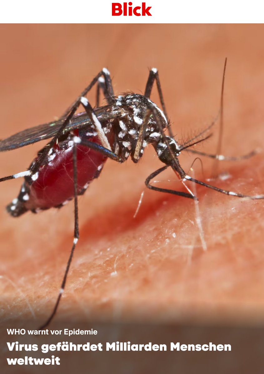 StandPunkt_News's tweet image. Alles, was hilft …

Für das «Virus»-Narrativ ist alles recht, was hilft, es am Leben zu halten. Es ist ja die Lebensrechtfertigung für die nichtsnutzige WHO. Gerade sind es die Mücken und kaum dass die Hörigen dies geschluckt haben, werden bestimmt die Zecken an der Reihe sein.…