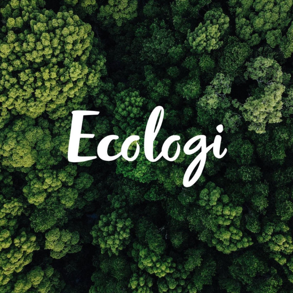 threepointpos's tweet image. 📣 It is our 4th year running of being Carbon Neutral, and we have planted 202 trees! 🌳

We’re proud to continue our partnership with Ecologi as part of our ongoing commitment to sustainability and reducing our environmental impact.

#SustainableRetail #Ecologi #Sustainability