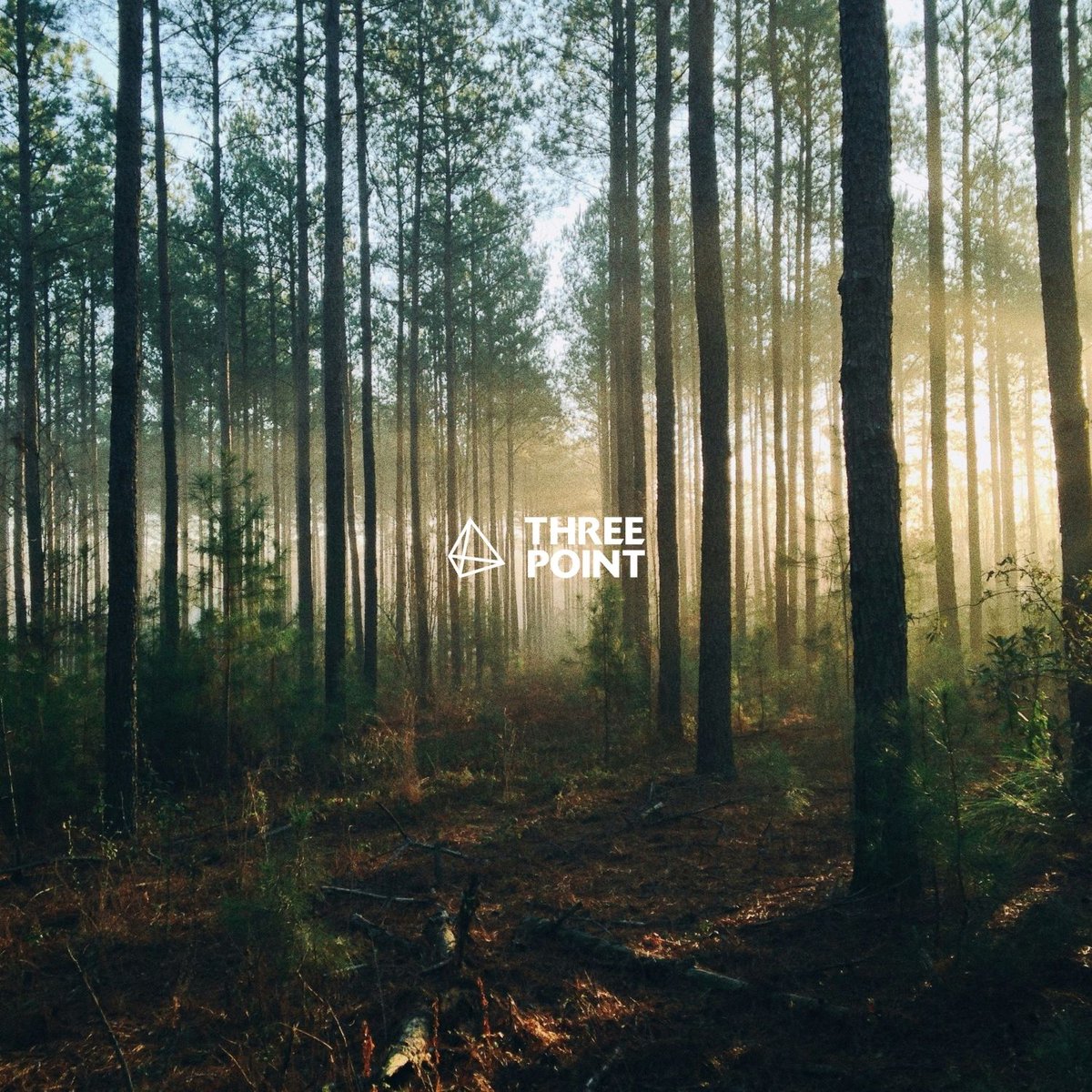 threepointpos's tweet image. 📣 It is our 4th year running of being Carbon Neutral, and we have planted 202 trees! 🌳

We’re proud to continue our partnership with Ecologi as part of our ongoing commitment to sustainability and reducing our environmental impact.

#SustainableRetail #Ecologi #Sustainability