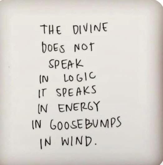 maximumpain333's tweet image. ‼️‼️‼️