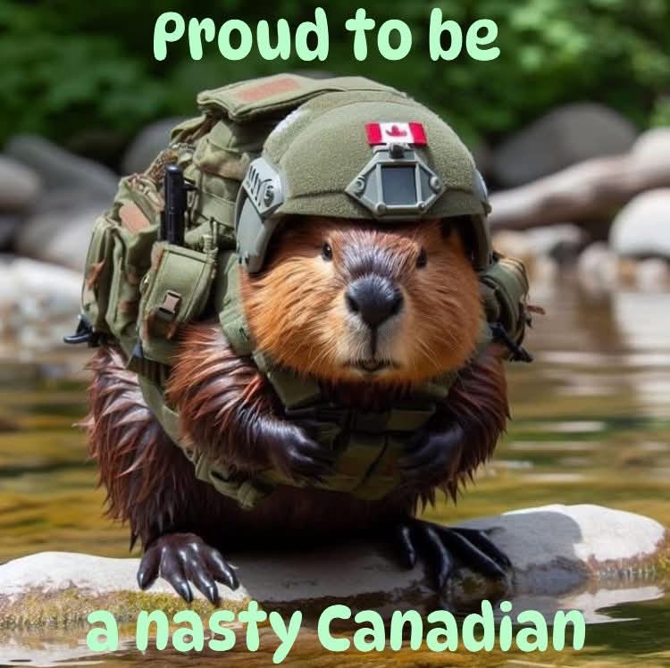 danwarren6's tweet image. Happy Wednesday folks