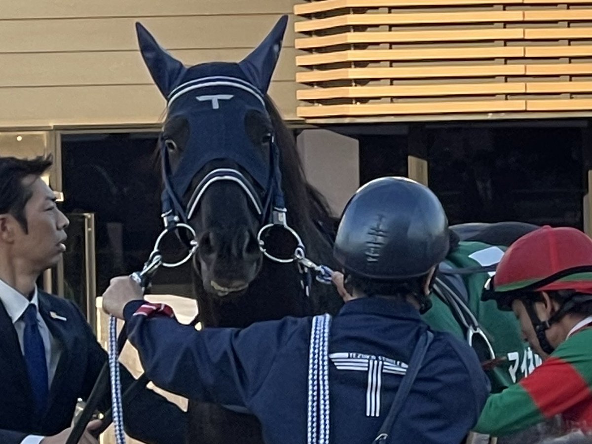 競馬垢で選挙の話すると嫌な思いする人がいるかもしれないですが、今回は黙ってられないので投票先を言っちゃいます！

現役馬部門:バビット
引退馬部門:シロニイ
Sサイズ選抜:マイネルファンロン

よろしくお願いします！
