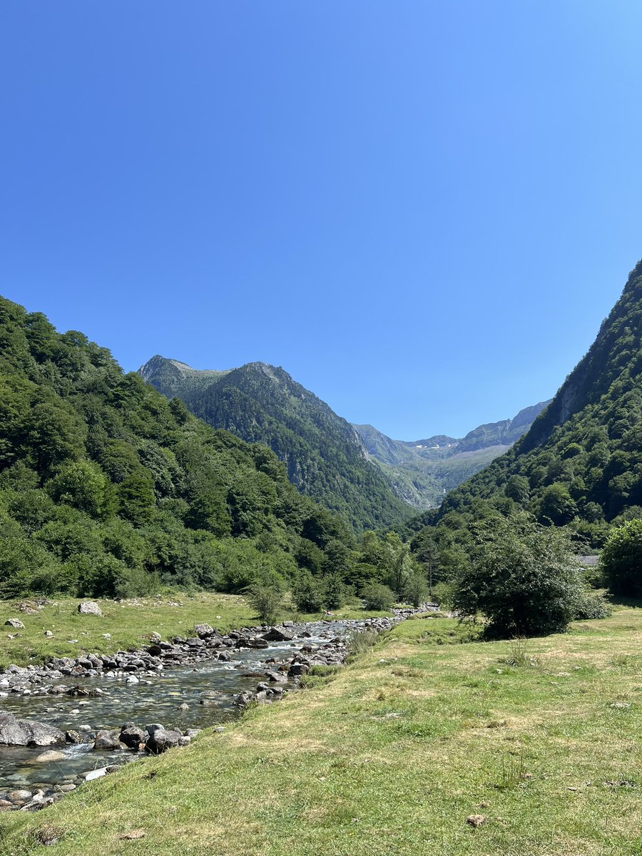 Destiny clc2 tweet media